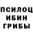 Псилоцибиновые грибы MAGIC MUSHROOMS ODINTSOV DENIS