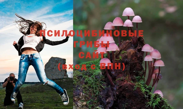 MDMA Premium VHQ Белоозёрский