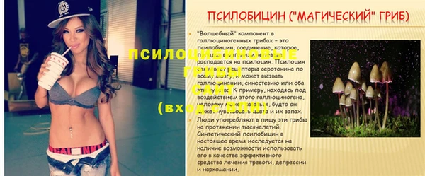 гашиш Белокуриха