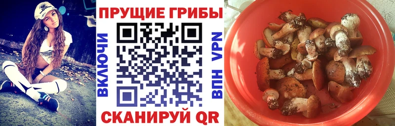 кракен как войти  Наро-Фоминск  Псилоцибиновые грибы Magic Shrooms 